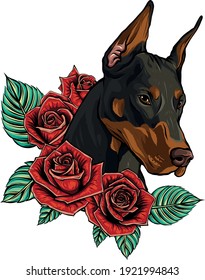 vector Dobermann dog face with red roses