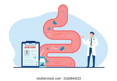 Vector Of A Doctor Examining Gastrointestinal Tract And Giving A Report Of Healthy Good Flora 