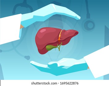 Vector of a doctor in a white coat protecting human liver with his hands. 