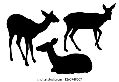 Vector doe silhouette set deer female collection