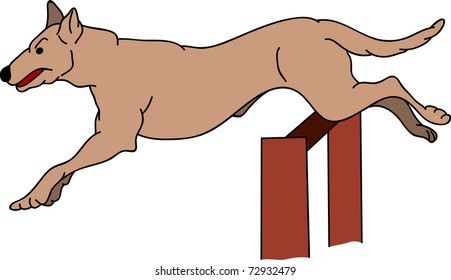 vector - dog agility , isolated on background