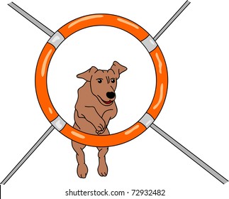 vector - dog agility , isolated on background