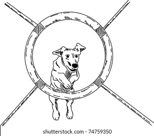 vector - dog agility , isolated on background