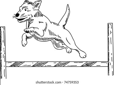 Vector - Dog Agility , Isolated On Background