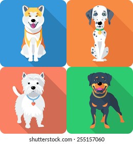 Vector Dog Akita Inu,  Dalmatian, Rottweiler And West Highland White Terrier Breed Face Icon Flat Design 