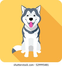 Vector dog Alaskan Malamute breed sitting icon flat design