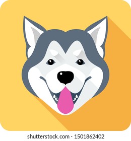 Vector dog Alaskan Malamute head breed icon flat design
