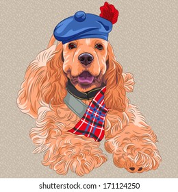 Vector dog American Cocker Spaniel  in Scottish Tam