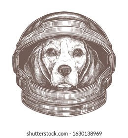 Vector dog astronaut in cosmonaut helmet. Cute animal in the space in spacesuit. Beagle in the galaxy, adventure across the univerce. Sketch drawing, black and white illustration for poster or t-shirt