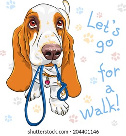 Vector dog Basset Hound breed wants to walk with a leash in mouth