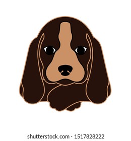 Vector dog Basset hound on white background