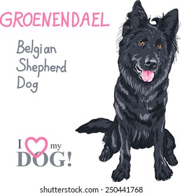 Vector dog Belgian Shepherd Dog or Groenendael breed smiles with his tongue hanging out svg
