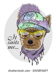Vector dog with beret and scarf. Hand drawn illustration of dressed dog.