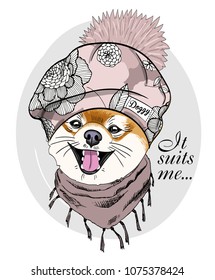 Vector dog with beret and scarf. Hand drawn illustration of dressed dog.