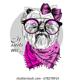 Vector dog with black glasses, pink scarf and bow. Hand drawn illustration of dressed yorkshirterer
