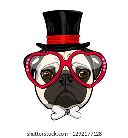 Vector dog with black top hat and red glasses. Hand drawn illustration of dressed pug.