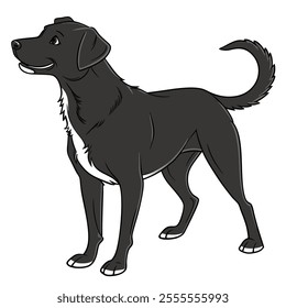 vector dog black and white background