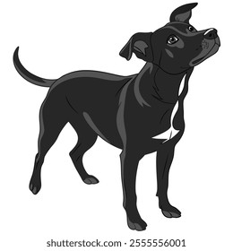 vector dog black and white background