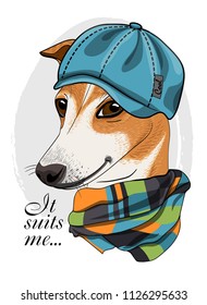 Vector dog with blue cap and checkered scarf. Hand drawn illustration of dressed dog.