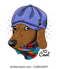 Vector dog with blue cap and checkered scarf. Hand drawn illustration of dressed dachshund.