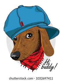 Vector dog with blue cap and red scarf. Hand drawn illustration of dressed dachshund.