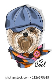 Vector dog with blue cap and scarf. Hand drawn illustration of dressed dog.