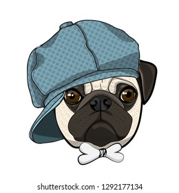 Vector dog with blue hat and bow. Hand drawn illustration of dressed pug.