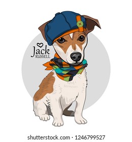 Vector dog with blue hat and checkered scarf. Hand drawn illustration of dressed Jack Russell terrier.