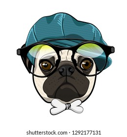 Vector dog with blue hat and glasses. Hand drawn illustration of dressed pug.