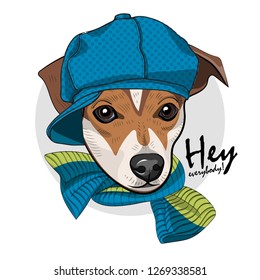 Vector dog with blue hat and knitted scarf. Hand drawn illustration of dressed Jack Russell terrier.