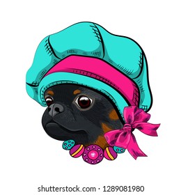 Vector dog with blue hat and necklace. Hand drawn illustration of dressed brabancon.