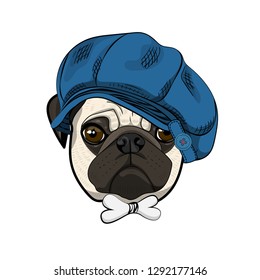 Vector dog with blue hat and scarf. Hand drawn illustration of dressed pug.