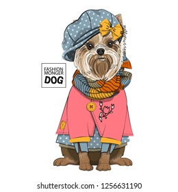 Vector dog with blue hat, yellow bow, knitted scarf and pink blouse. Hand drawn illustration of dressed dog.