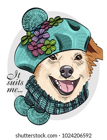 Vector dog with blue knitted beret and scarf. Hand drawn illustration of dressed dog.