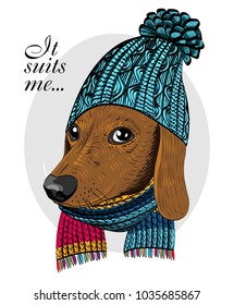 Vector dog with blue knitted hat and scarf. Hand drawn illustration of dressed dachshund.