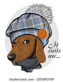 Vector dog with blue knitted hat and grey scarf. Hand drawn illustration of dressed dog.