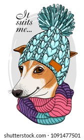 Vector dog with blue knitted hat and knitted scarf. Hand drawn illustration of dressed dog.