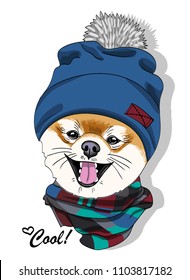 Vector dog with blue knitted hat and scarf. Hand drawn illustration of dressed dog.