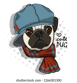 Vector dog with blue knitted hat and scarf. Hand drawn illustration of dressed pug.
