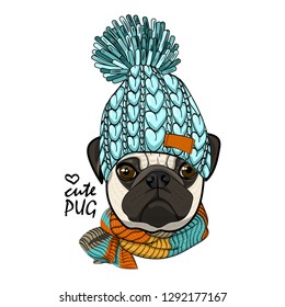 Vector dog with blue knitted hat and scarf. Hand drawn illustration of dressed pug.