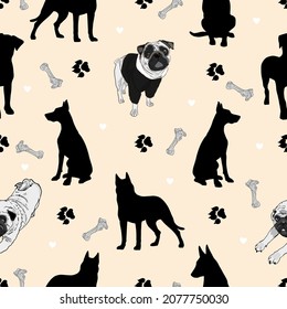 Vector dog and bone pattern. Seamless illustration of Doberman, pugs for pet shops, as a blank for a designer, logo, icon, textiles