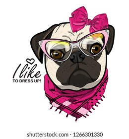 Vector dog with bow, glasses and scarf. Hand drawn illustration of dressed pug.