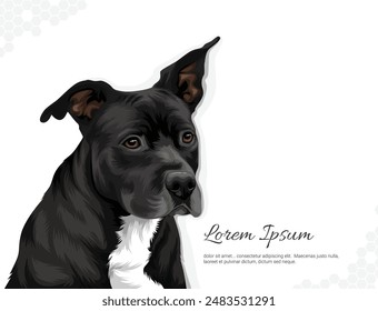 Vector Dog Breed american staffordshire terrier wall decor ideas. realistic drawing animal. Hand drawn dog isolated on white background