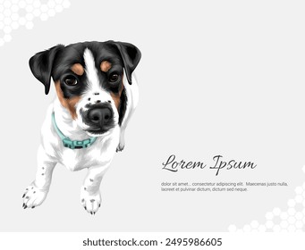 Vector Dog Breed Australian Sheperd 2 wall decor ideas. realistic animal images. Hand drawn dog isolated. for room decoration, events, etc