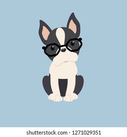 Vector dog breed Boston Terrier with glasses