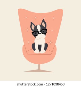 Vector dog breed Boston Terrier with glasses in an armchair