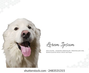 Vector Dog Breed Maremmano Maremma Sheepdog wall decor ideas. realistic drawing animal. Hand drawn dog isolated on white background