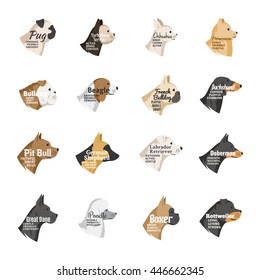 Vector Dog Breeds Icons Collection With Names And Personality Description