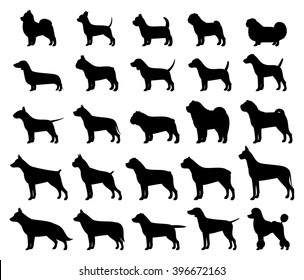 Vector dog breeds silhouettes collection isolated on white