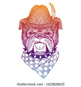 Vector dog, bulldog. Bavarian traditional hat. Tirol austrian hat. Beer Oktoberfest character portrait.